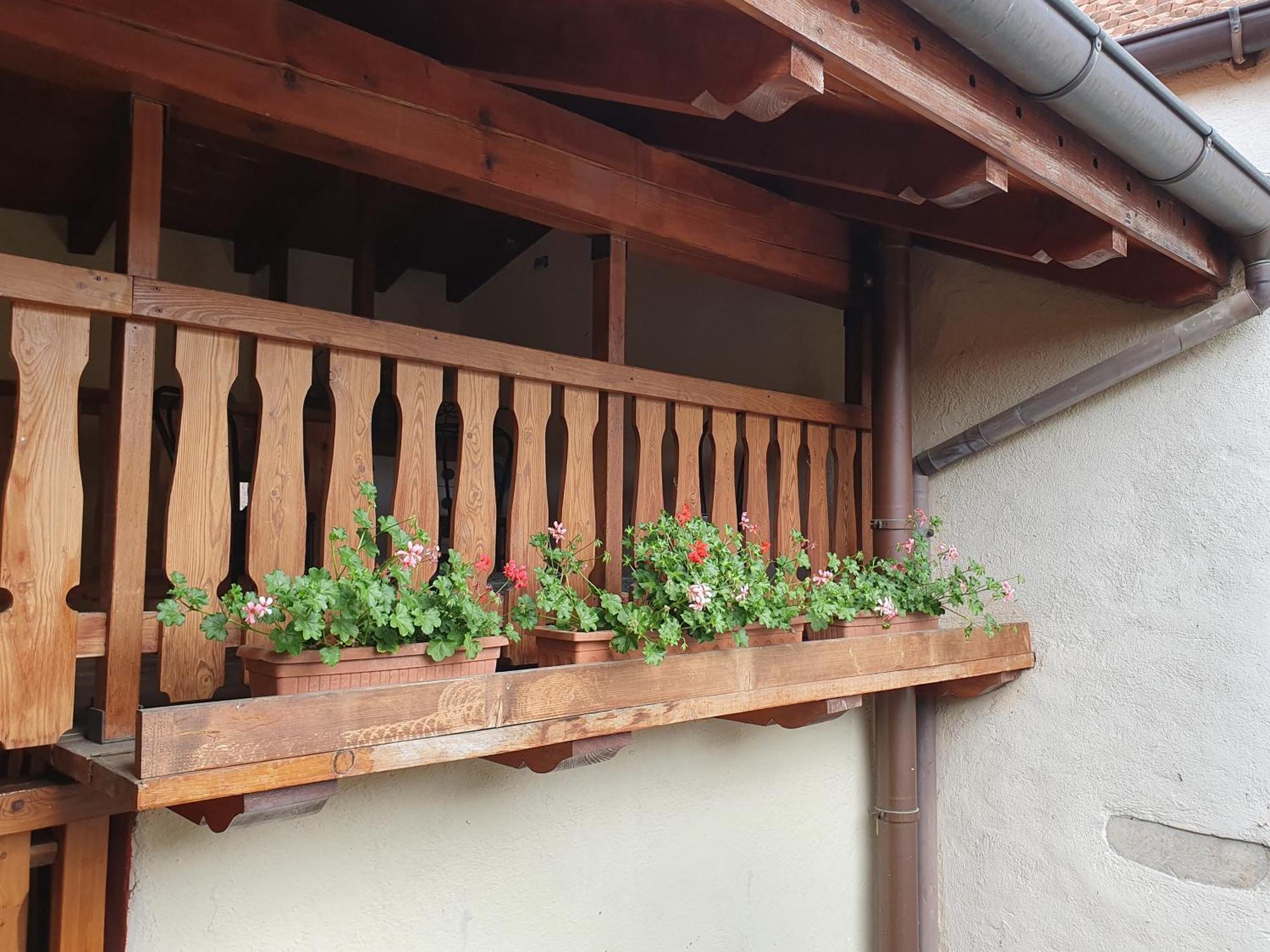 Appartamenti Vacanze E Camere Roccetta Fiorita Pettenasco Kamer foto