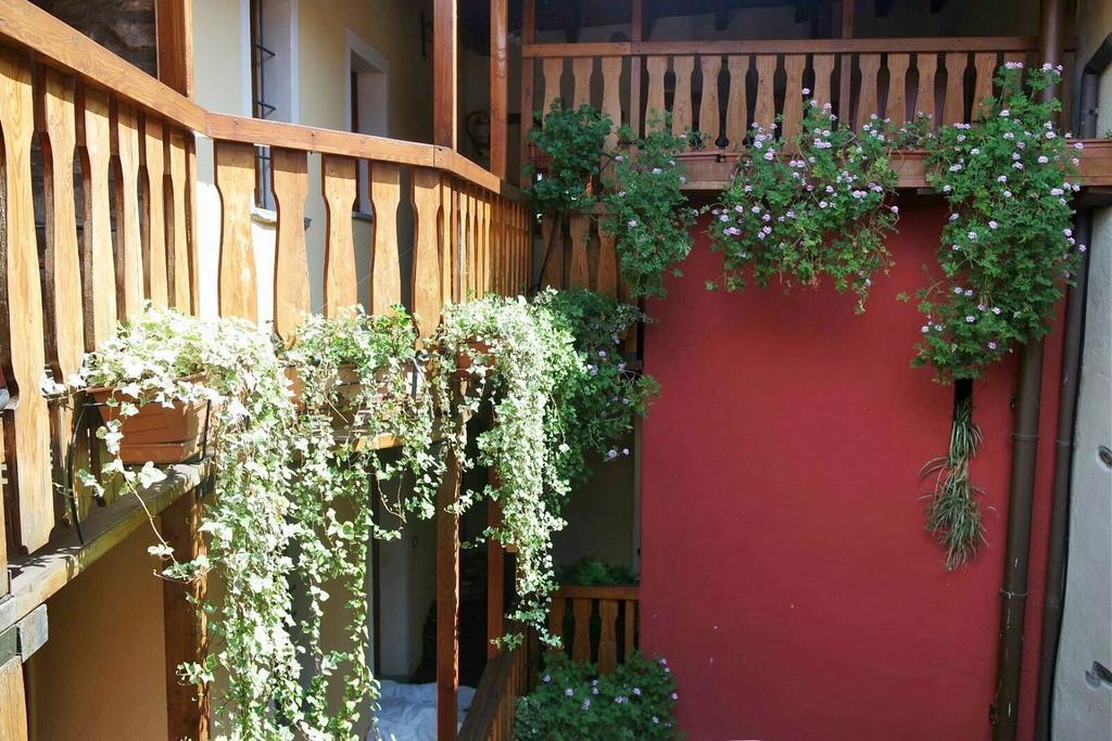 Appartamenti Vacanze E Camere Roccetta Fiorita Pettenasco Buitenkant foto
